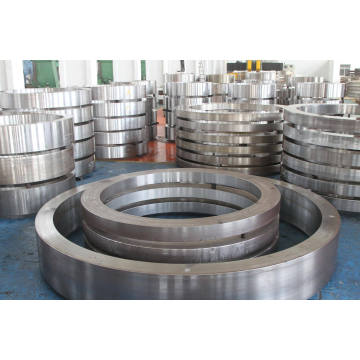 OEM Steel Forging Wntype Flanges